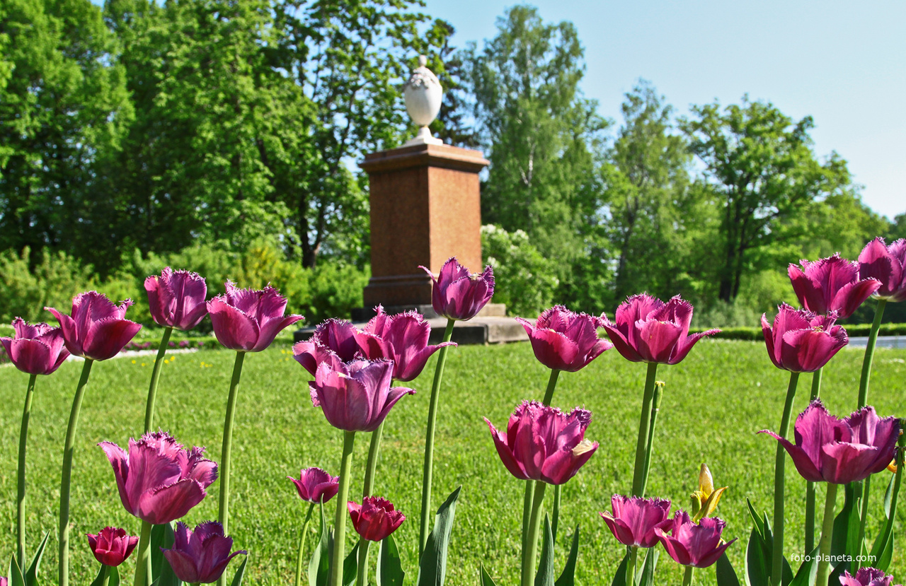 Павловский парк