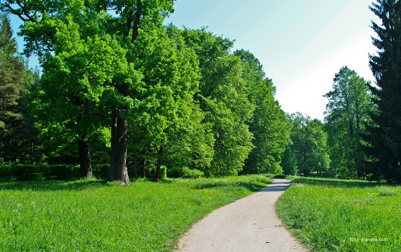 Павловский парк