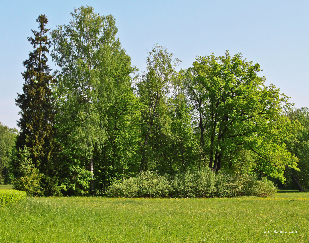 Павловский парк