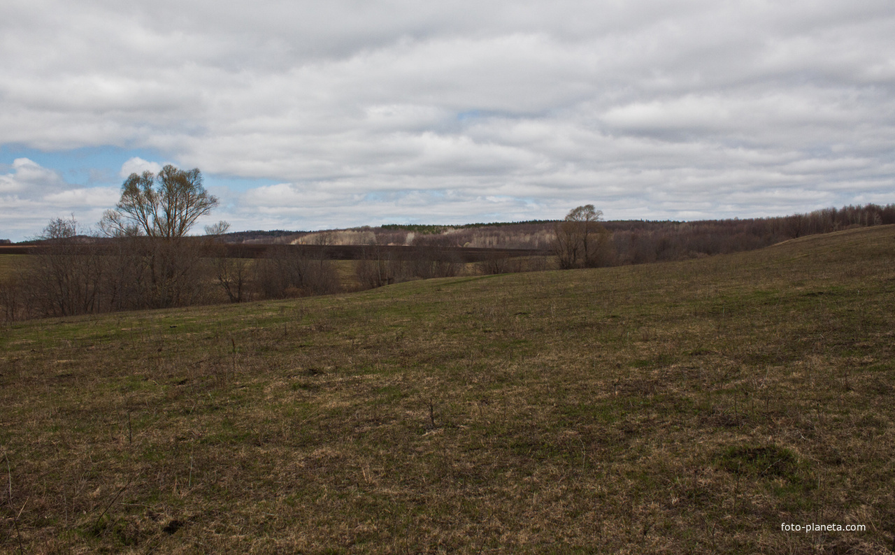 Алтаевские поля