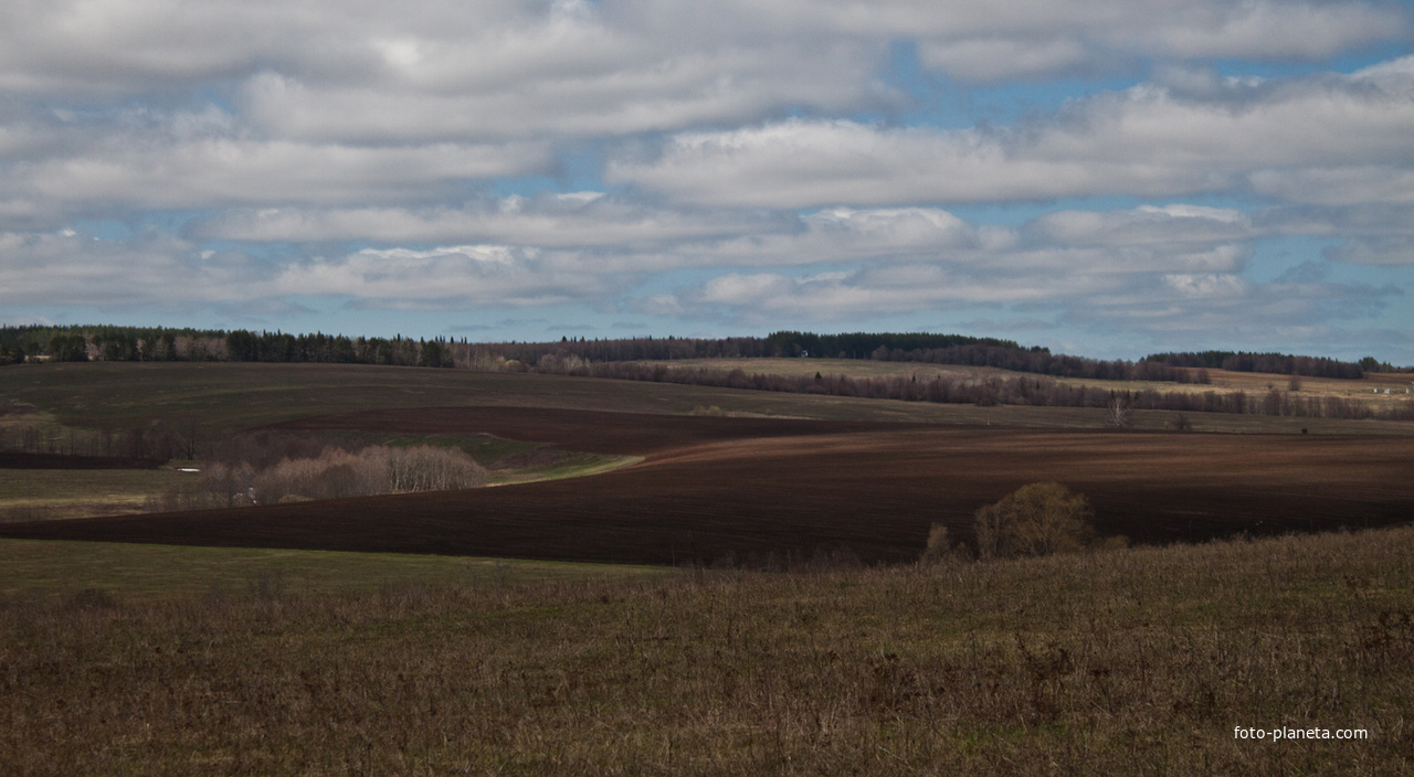 Алтаевские поля