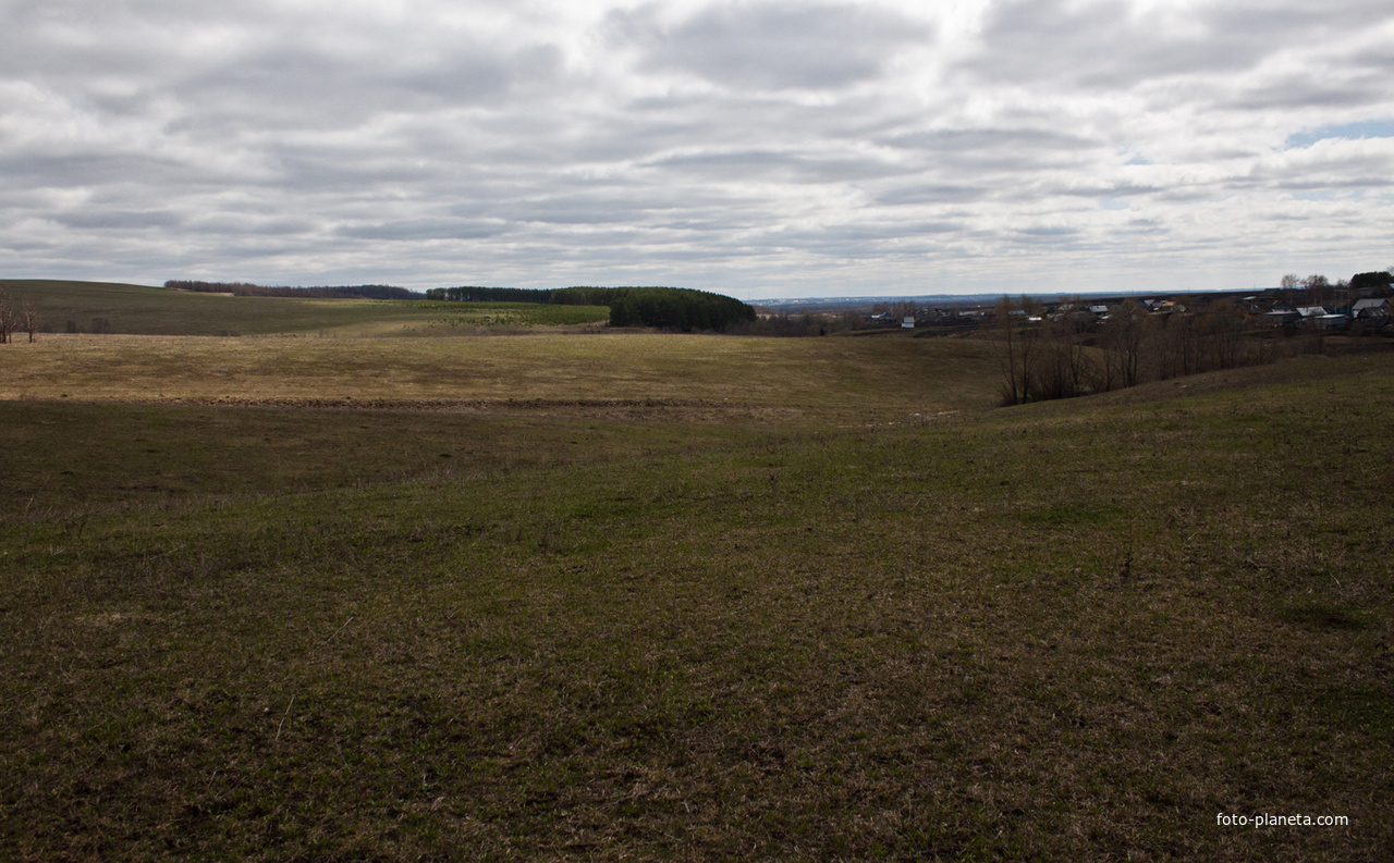 Алтаевские поля