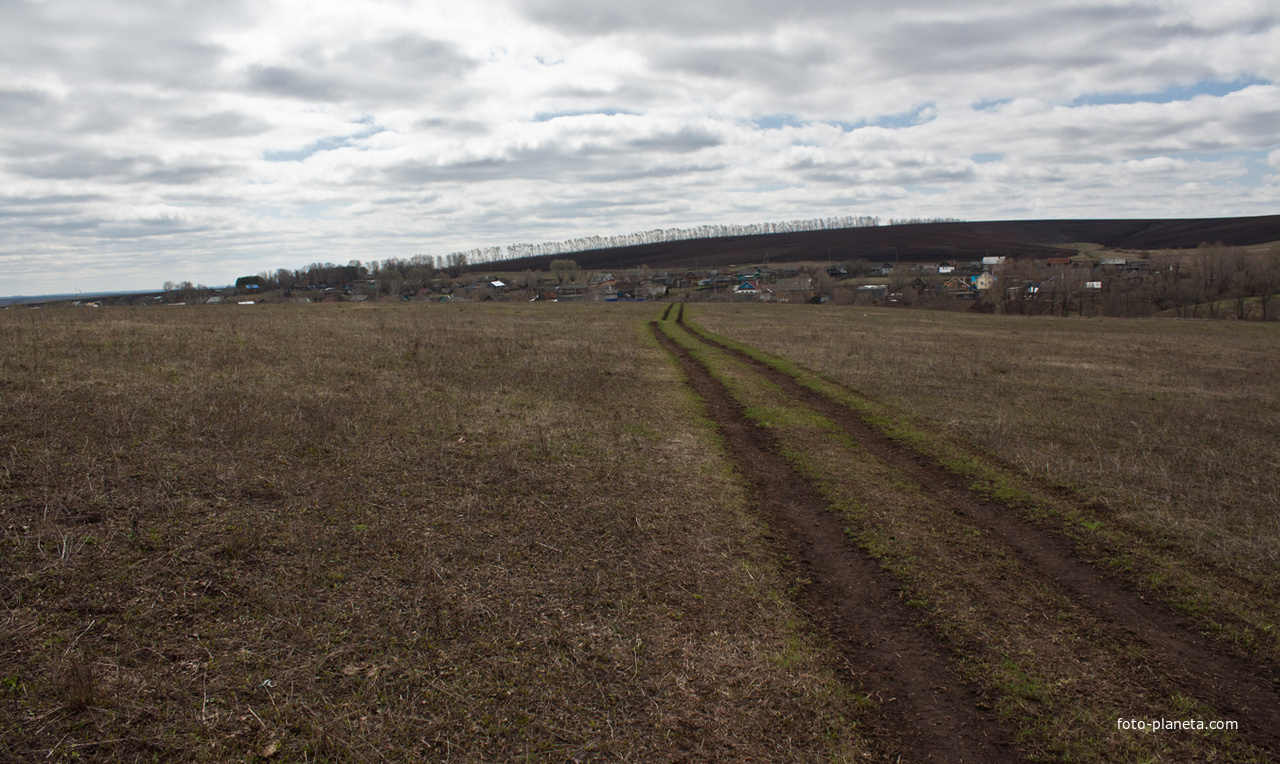 Дорога в Алтаево