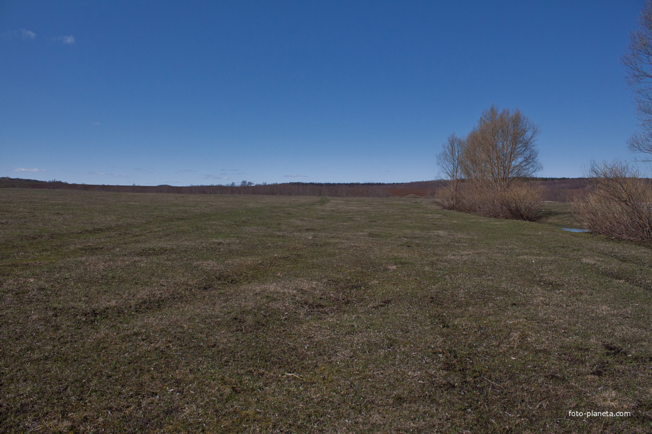 Окрестности Алтаево