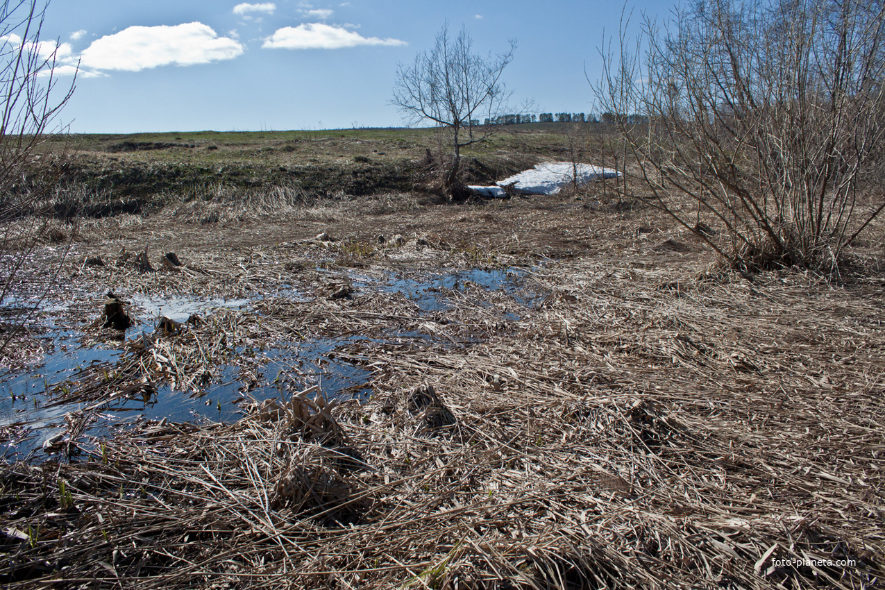 Окрестности Алтаево