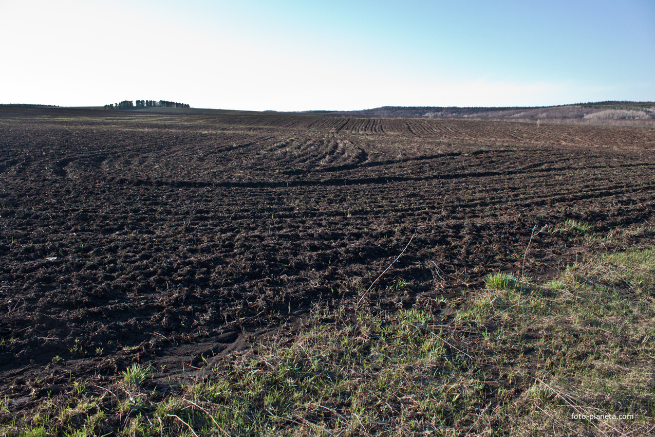 Алтаевские поля