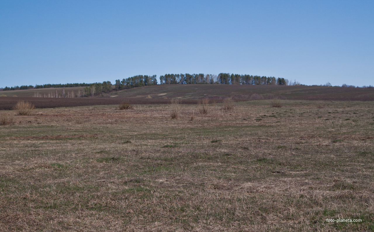 Алтаевские поля