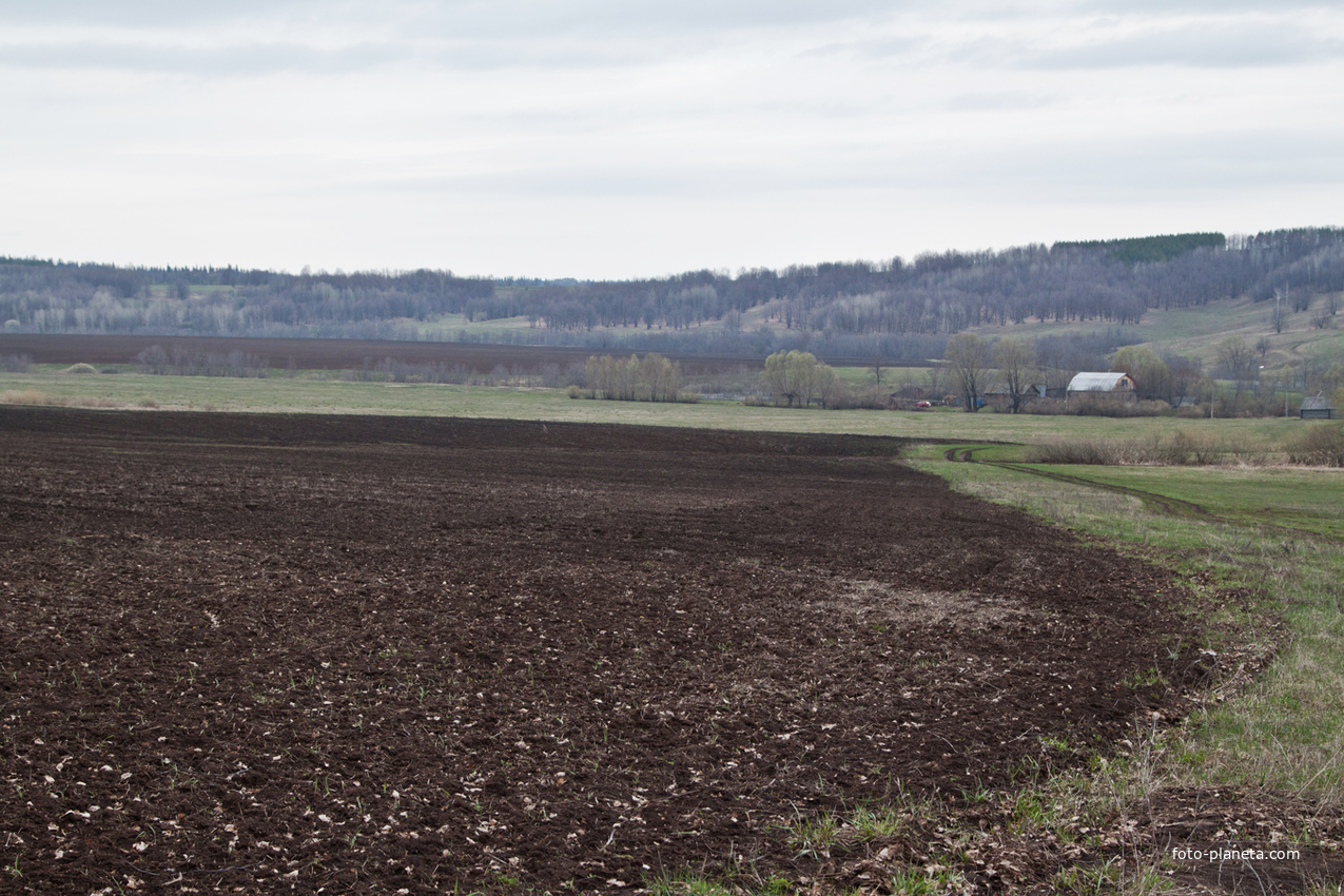 Алтаевские поля