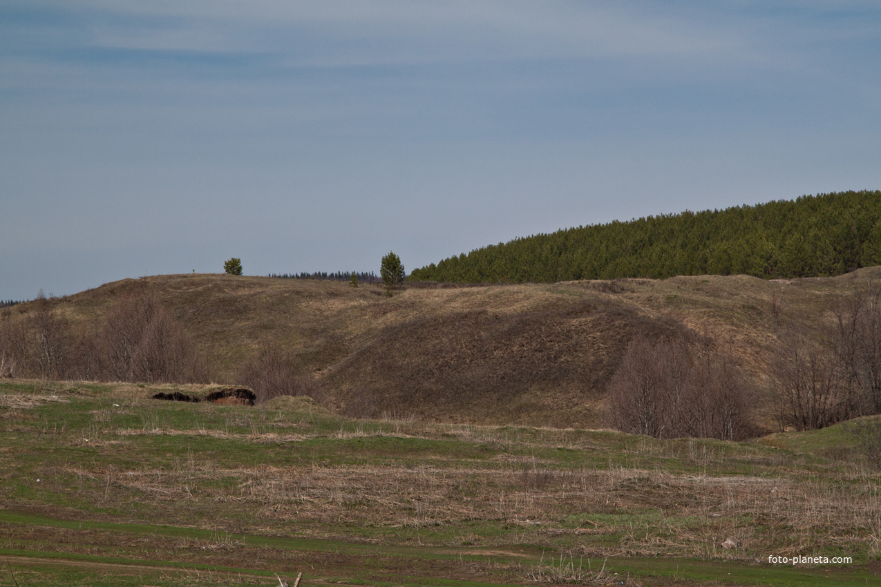 Окрестности Алтаево