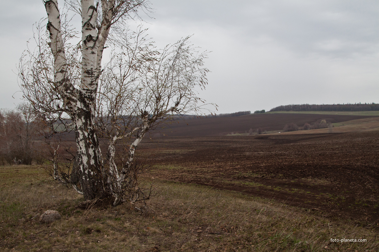 Окрестности Алтаево