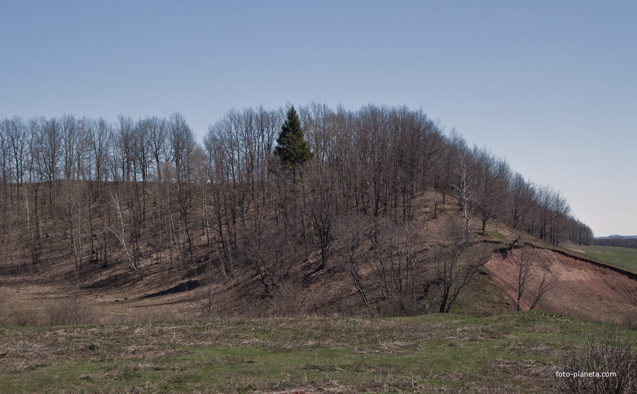 Окрестности Алтаево