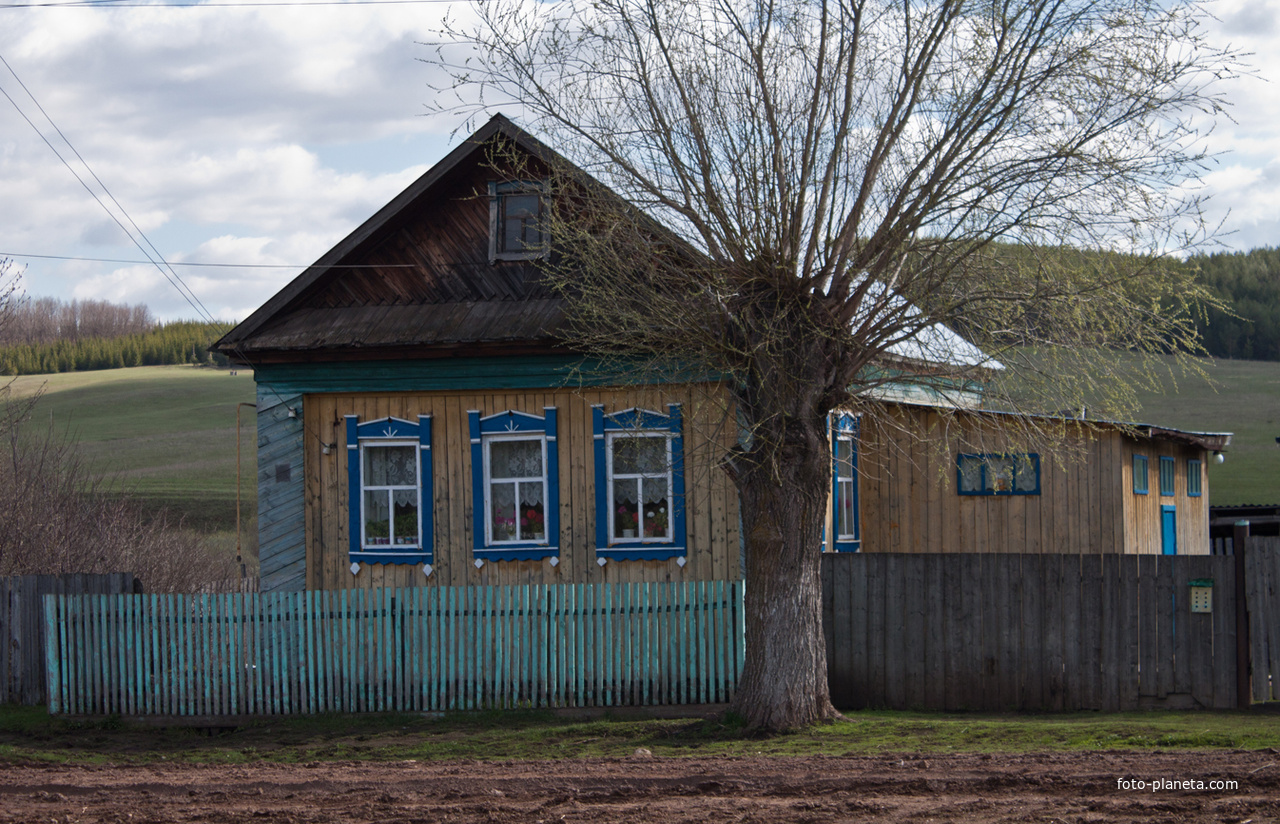 Улица Мира, 44