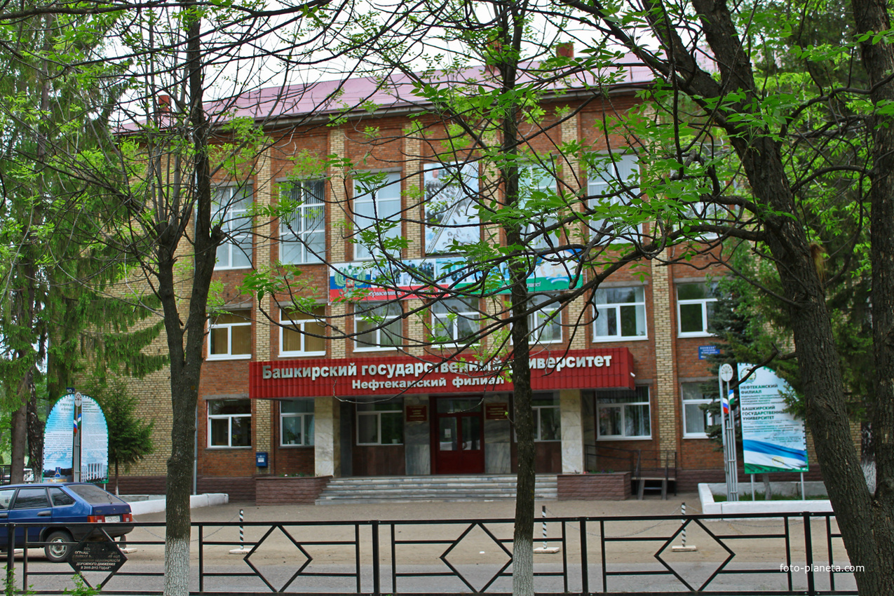 Филиал Башкирского государственного университета