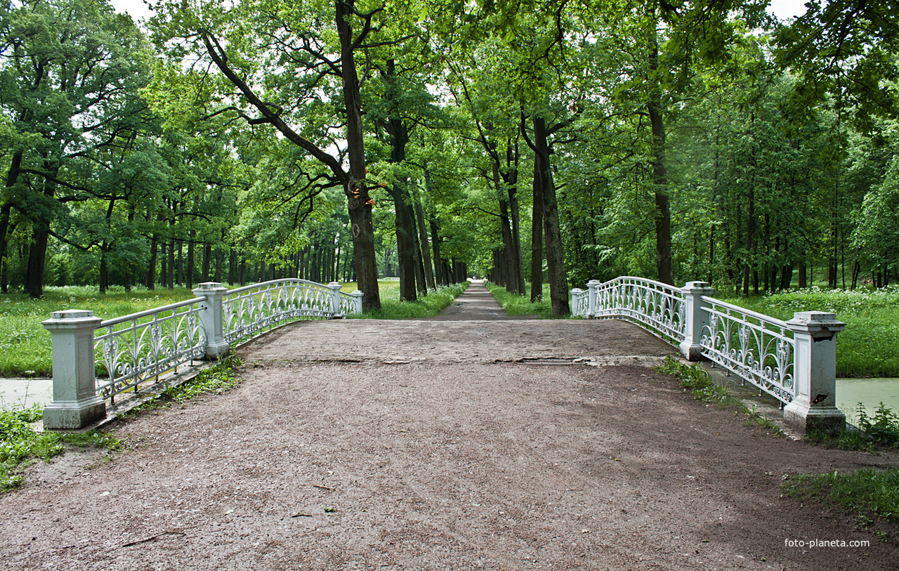 Мост в парке