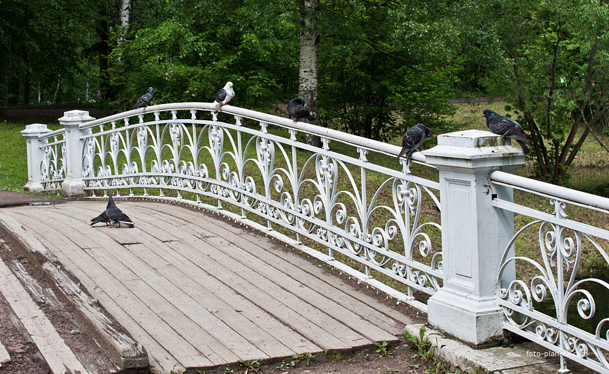 Мост в парке