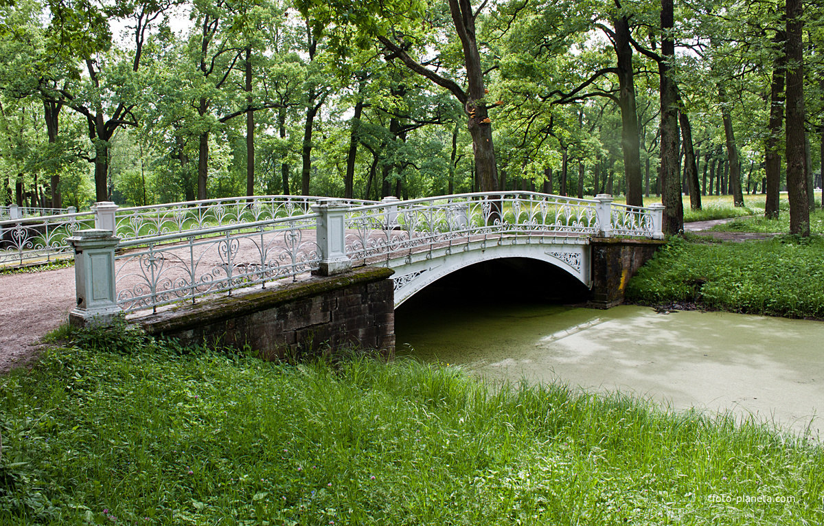 Мост в парке