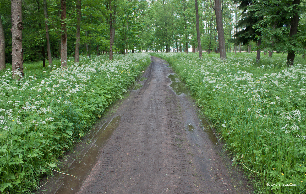 Александровский парк
