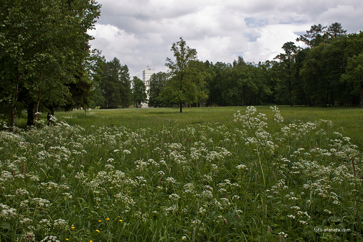 Александровский парк