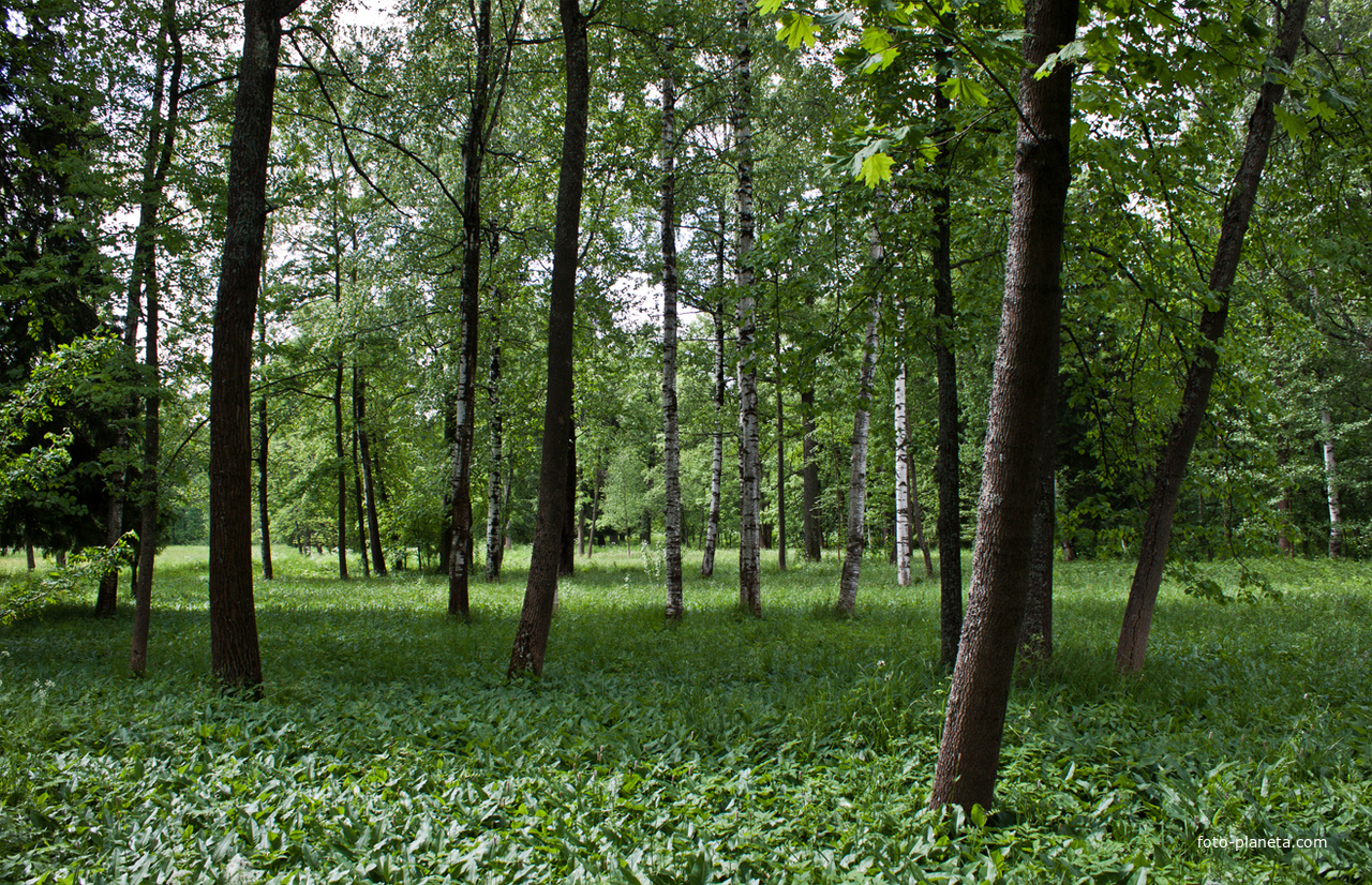 Александровский парк