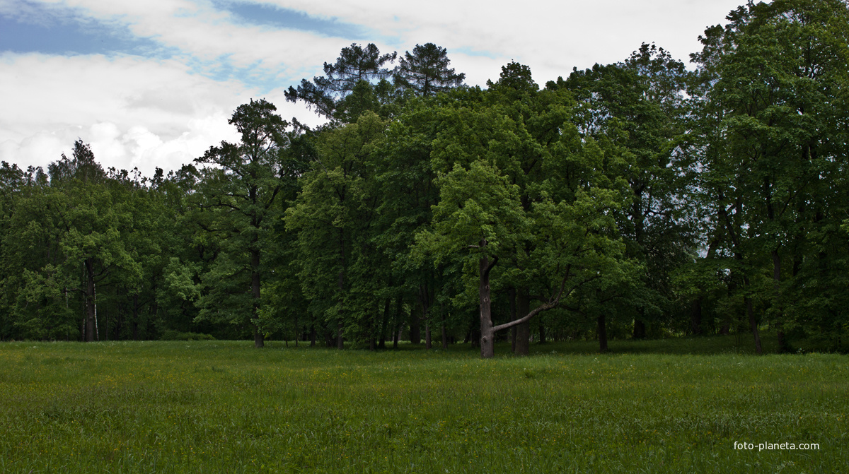 Александровский парк