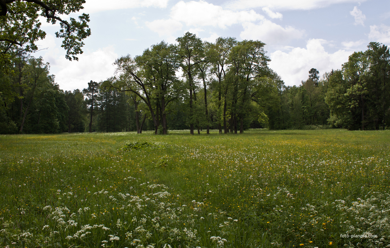 Александровский парк