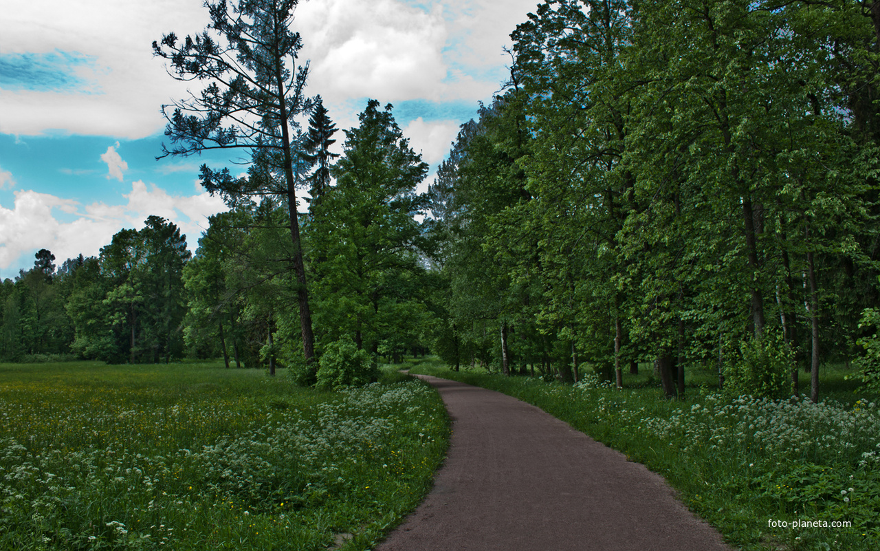 Александровский парк