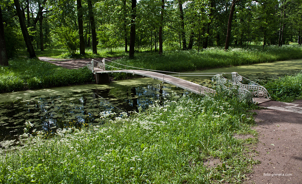 Пешеходный мостик