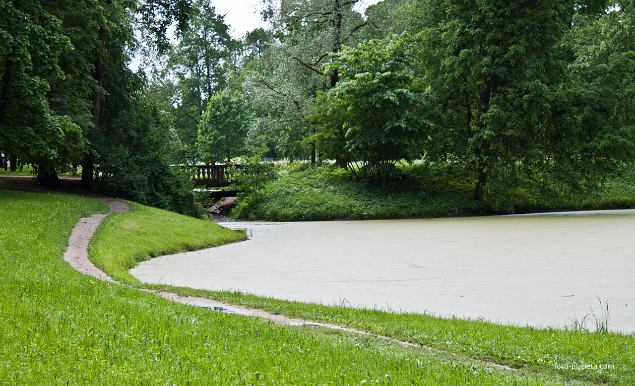 Кухонный пруд