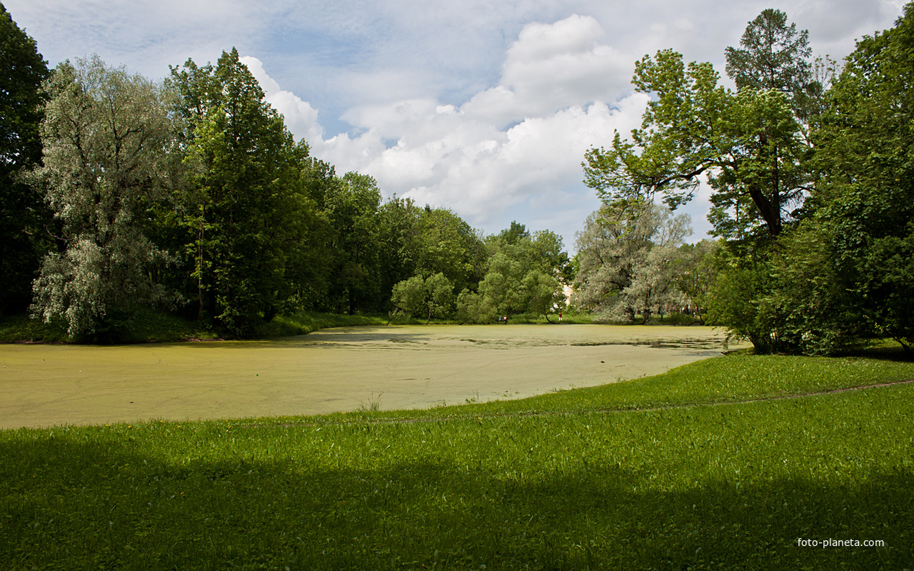 Кухонный пруд