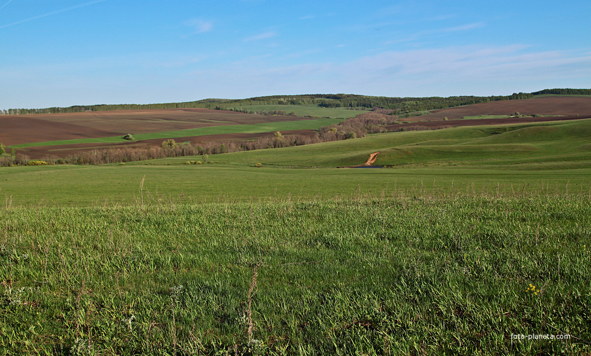 Алтаевские поля