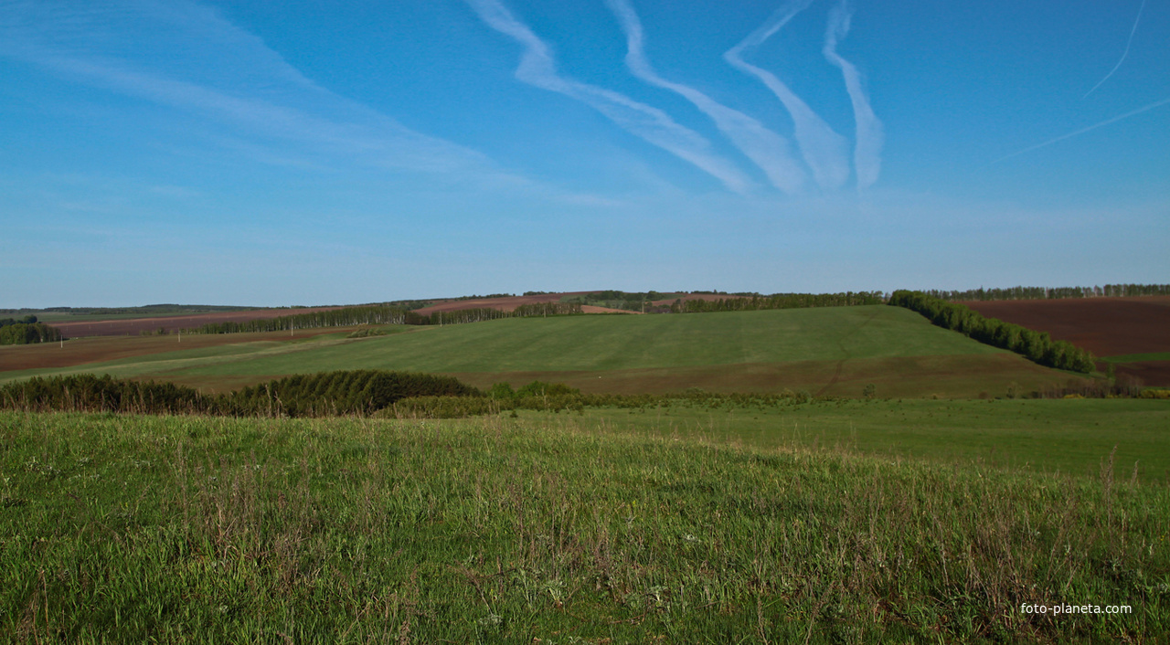 Алтаевские поля