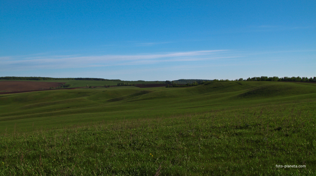 Алтаевские поля