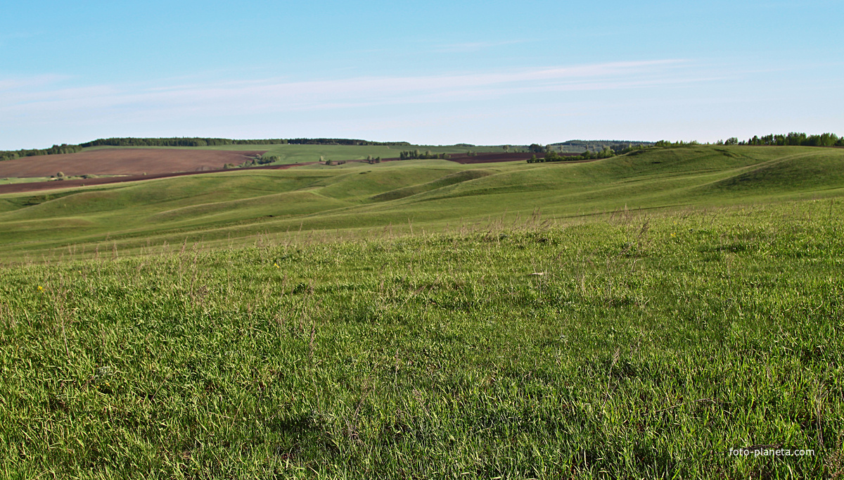 Алтаевские поля