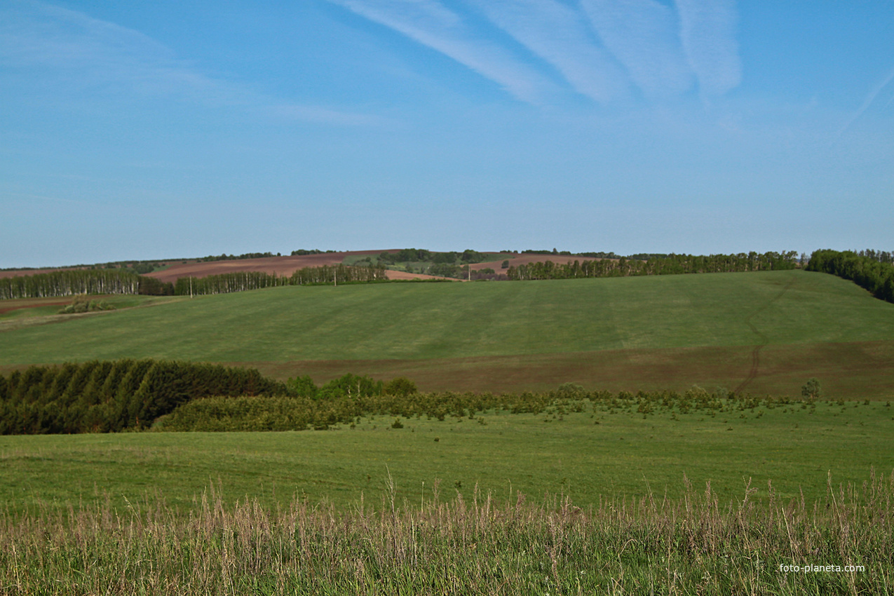 Окрестности Алтаево
