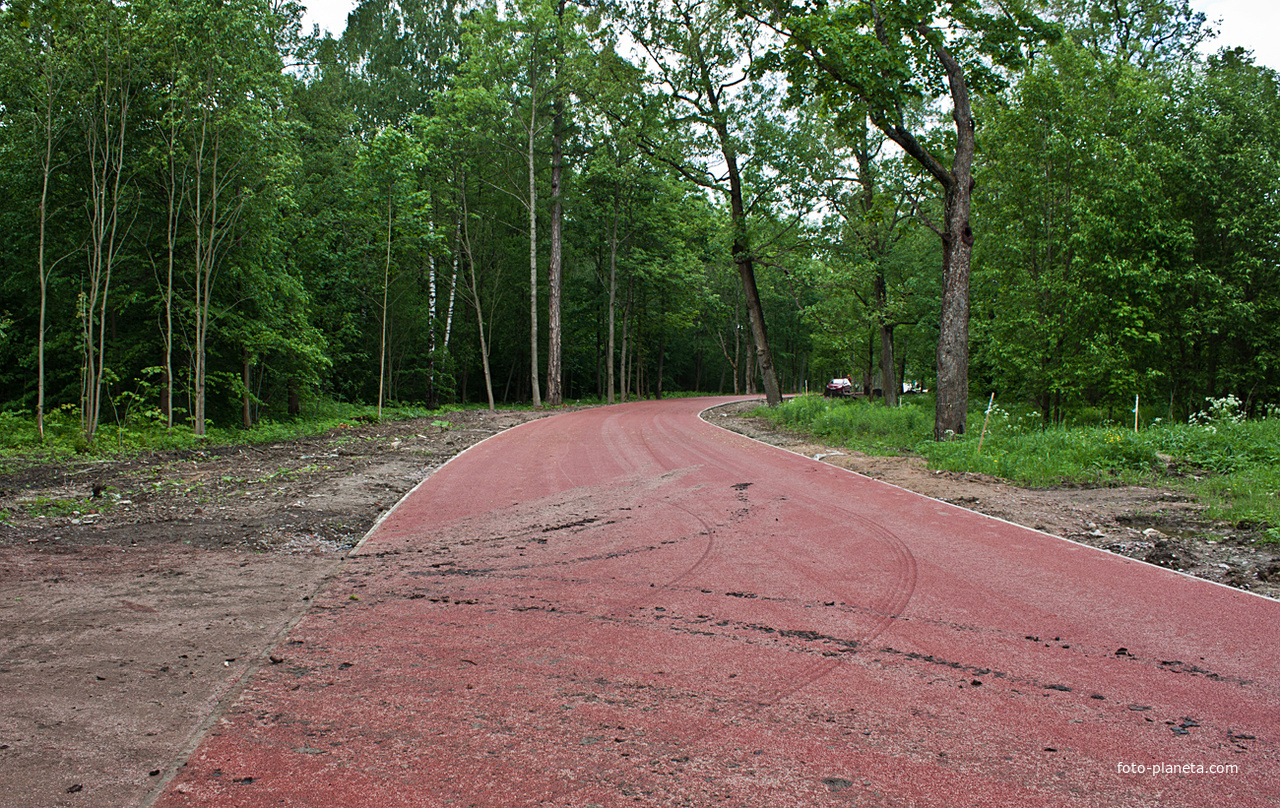 Новая дорога в Фермском парке