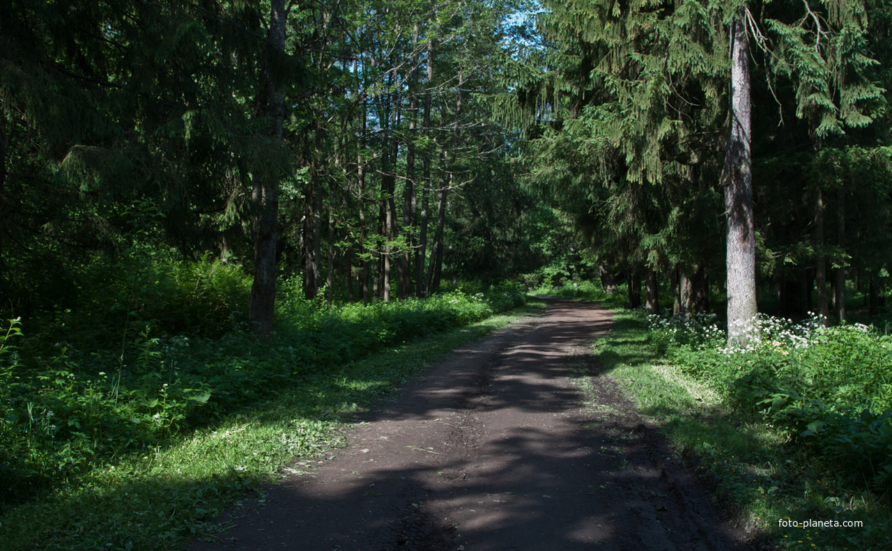 Александровский парк