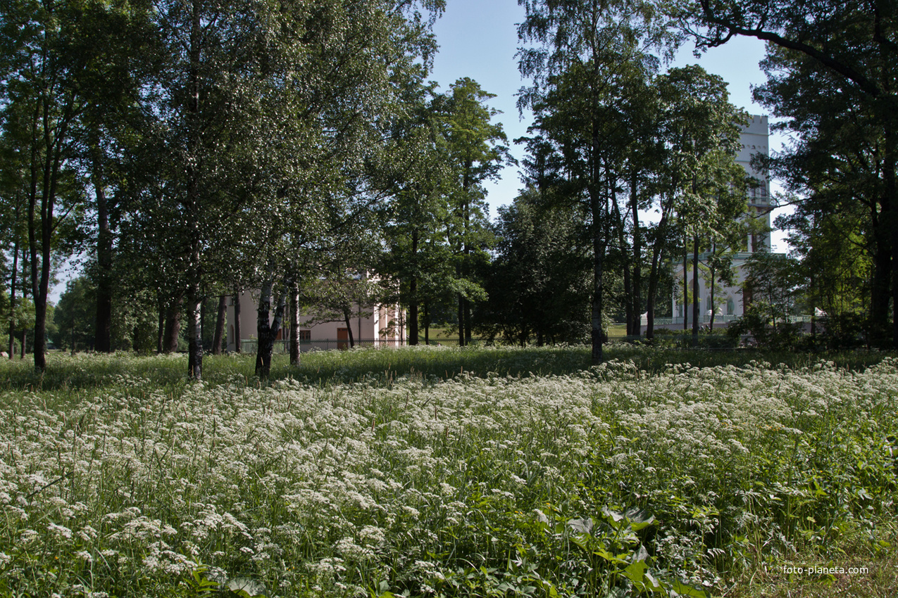 Александровский парк