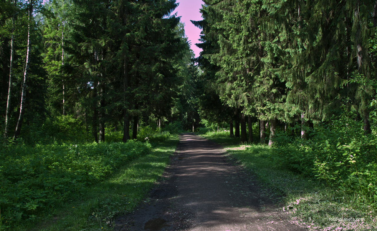 Александровский парк