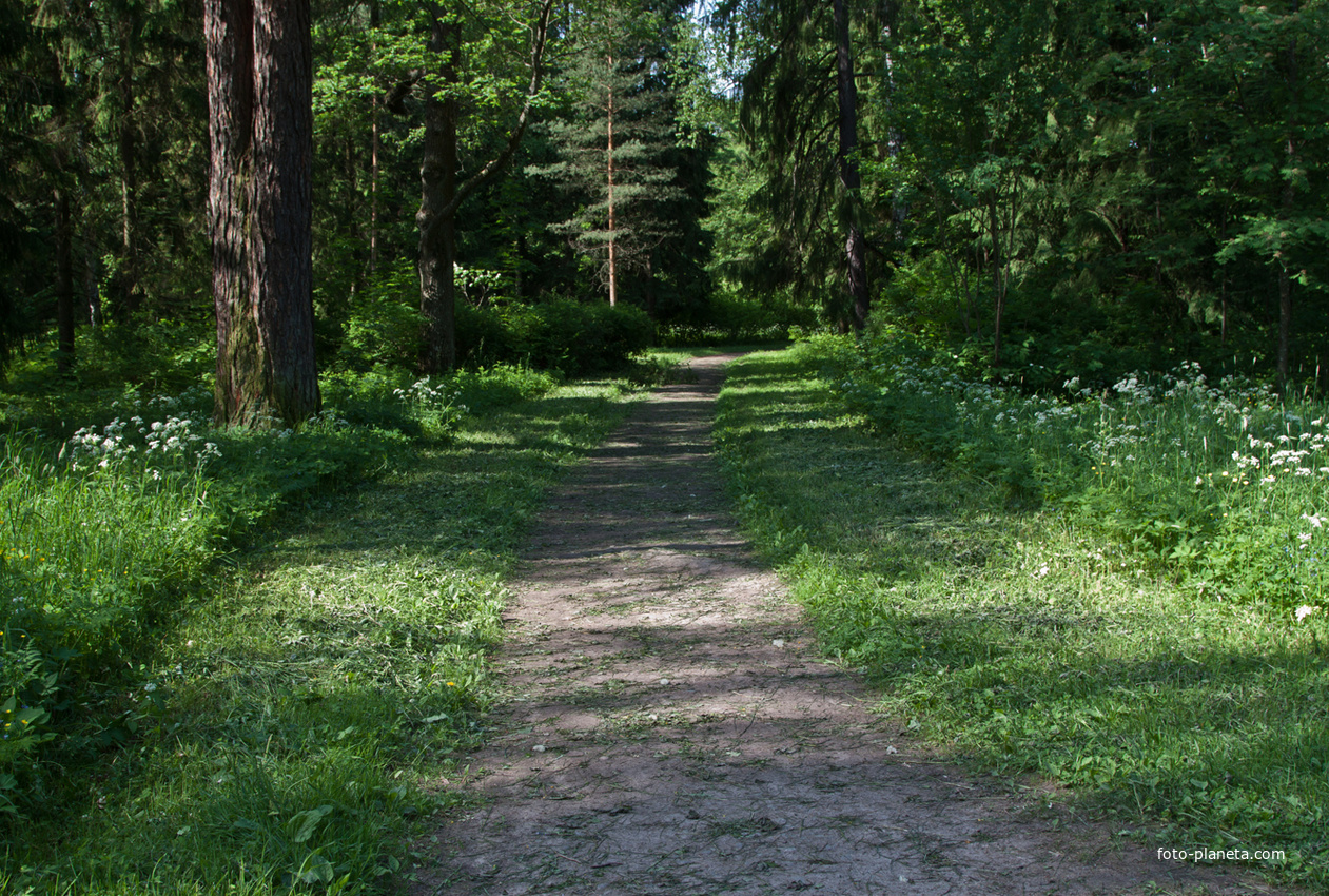 Александровский парк