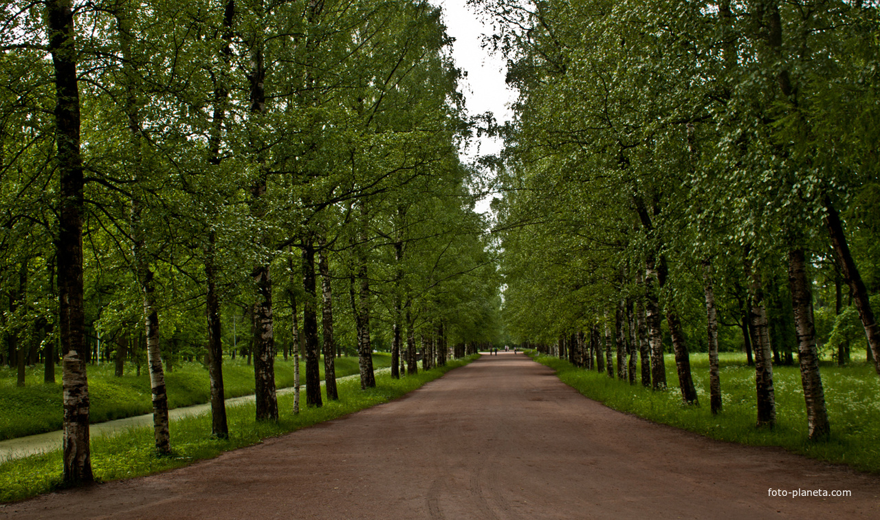Александровский парк