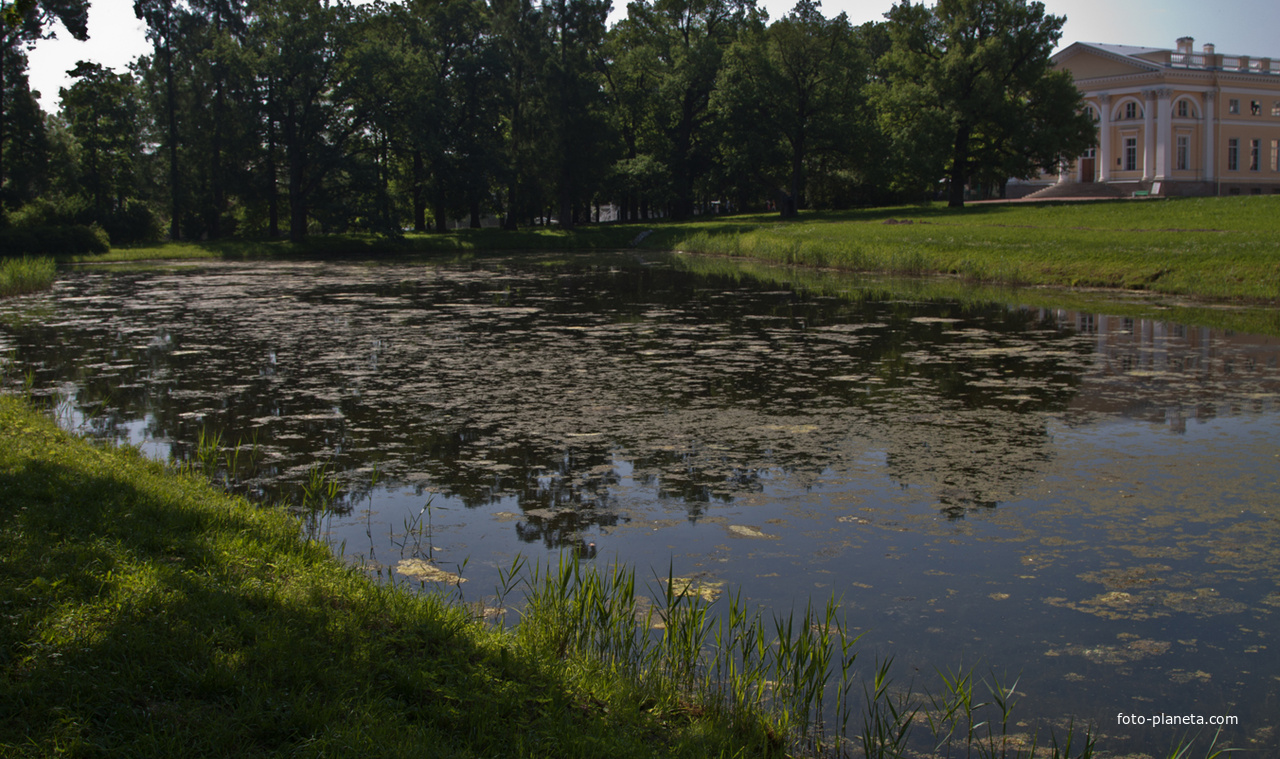 Фасадный пруд