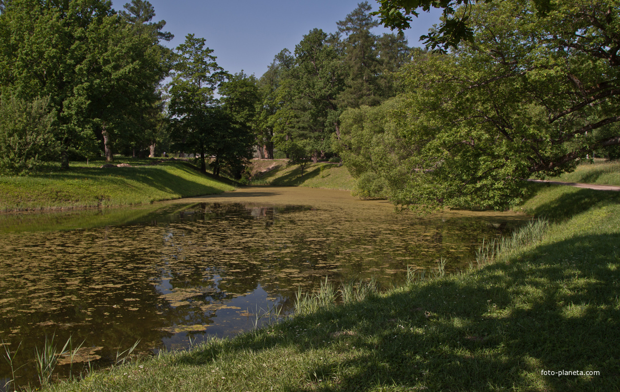 Фасадный пруд