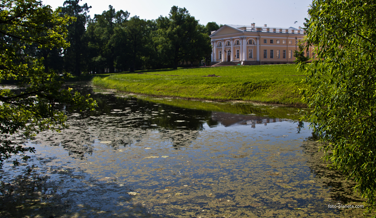 Фасадный пруд