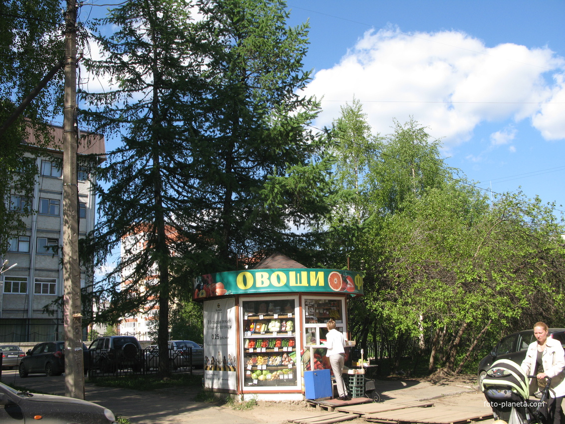 Сыктывкар 2014 - ул. Оплеснина