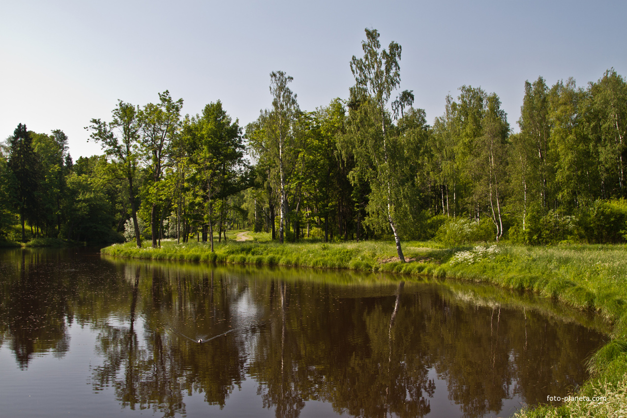 Александровский парк