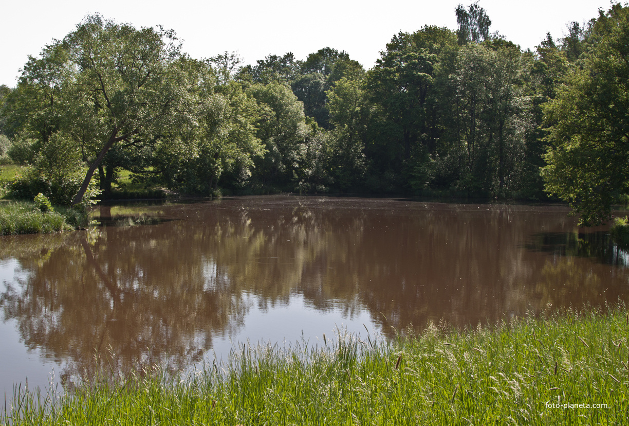 Нижний Ламский пруд
