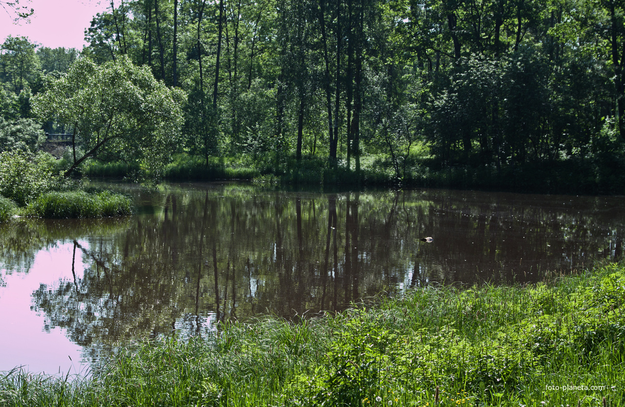 Нижний Ламский пруд