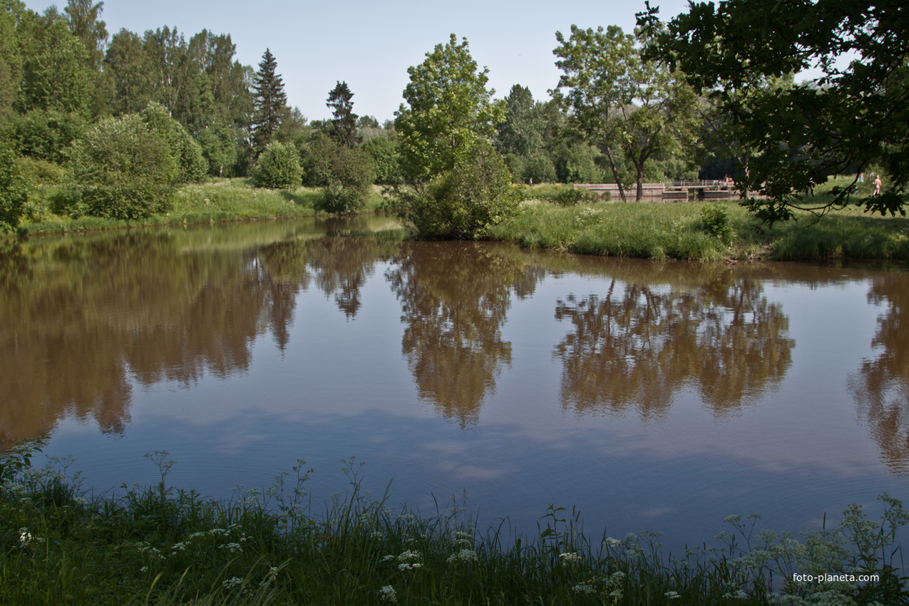 Нижний Ламский пруд