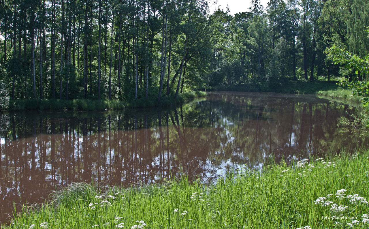 Нижний Ламский пруд