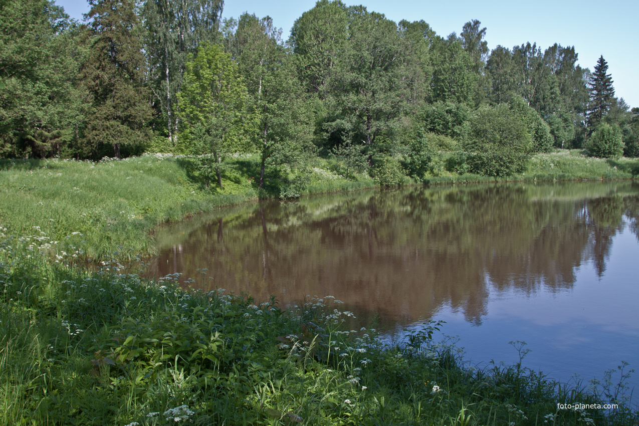 Нижний Ламский пруд